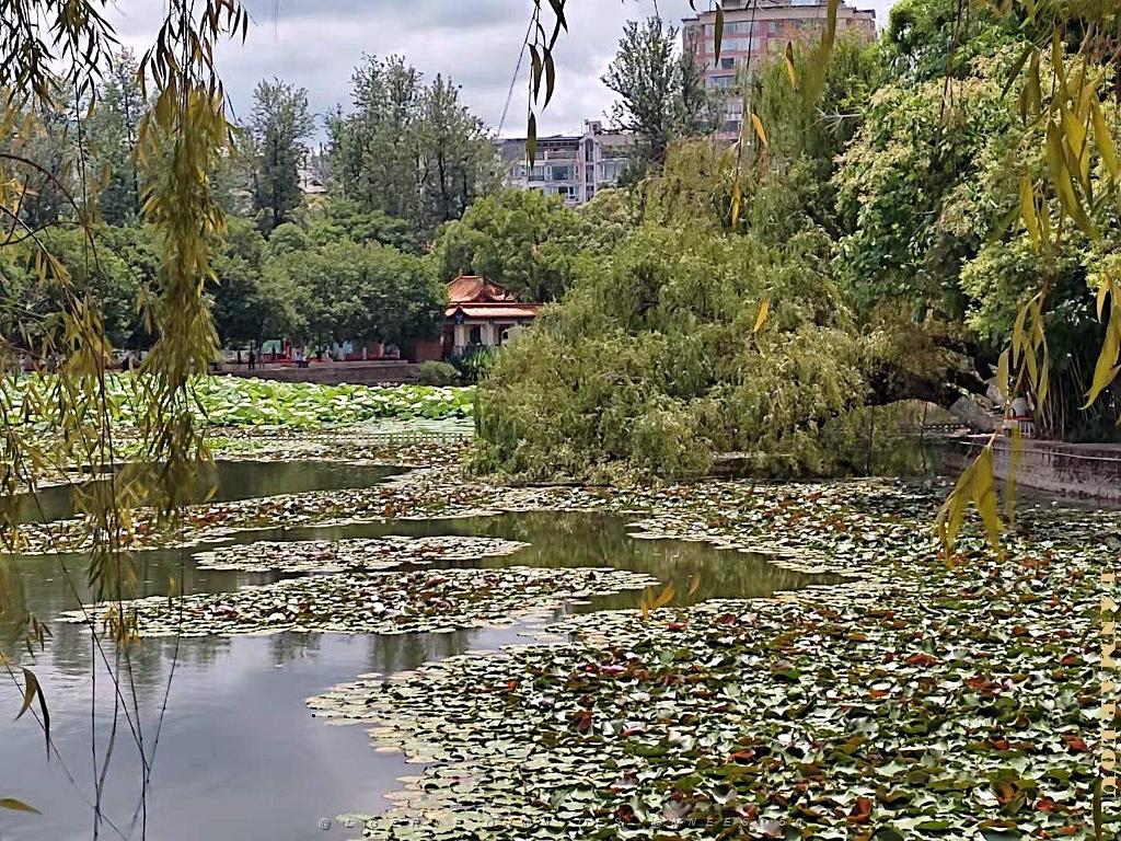 Kunming - Parc Cuihu - 53.jpg